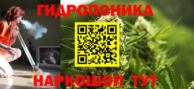 хмурый Можга