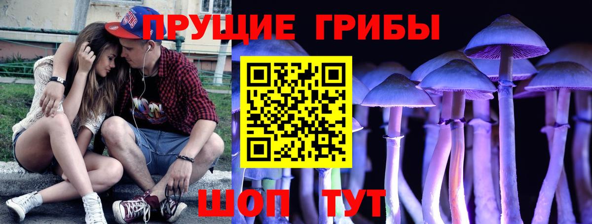 Галлюциногенные грибы MAGIC MUSHROOMS Усолье-Сибирское